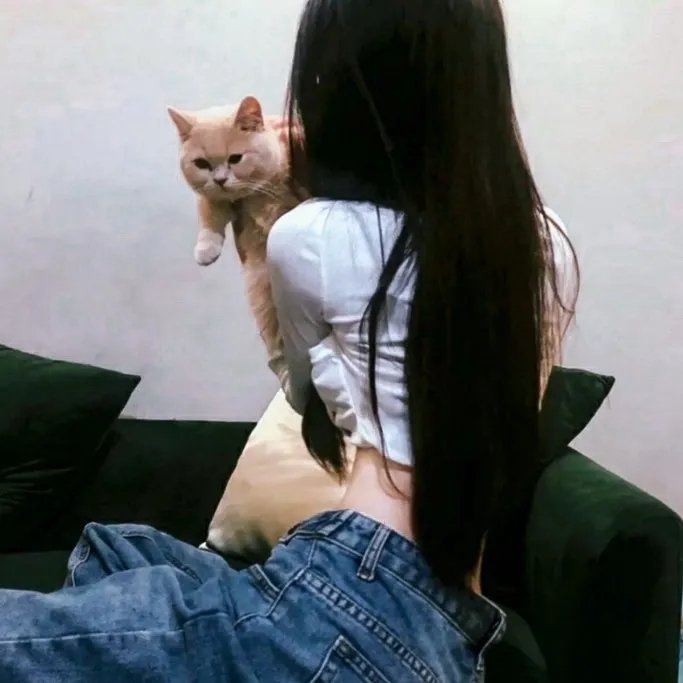 方法派